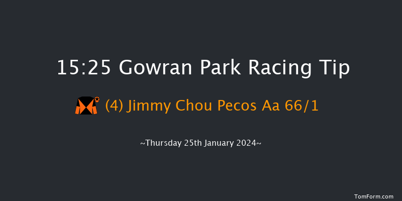 Gowran Park  15:25 Maiden Chase 20f Sat 11th Nov 2023