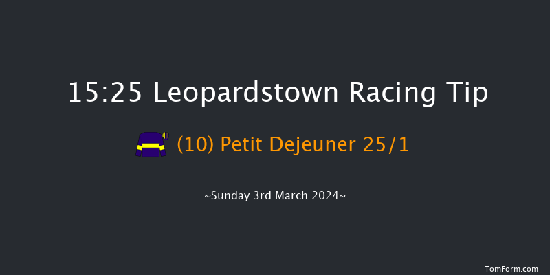 Leopardstown  15:25 Handicap Hurdle 16f Sun 4th Feb 2024