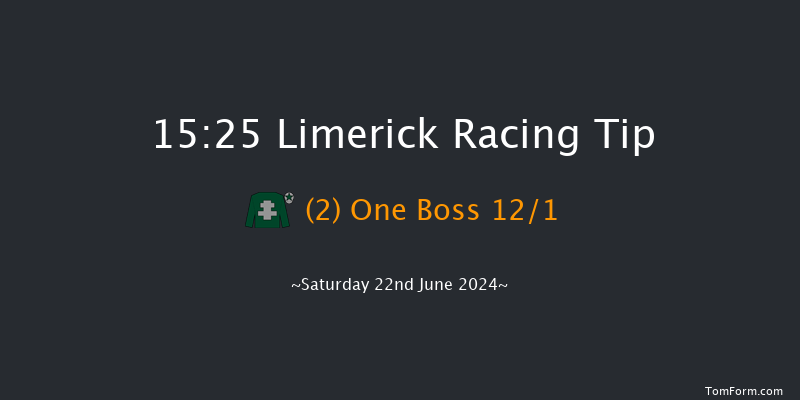 Limerick  15:25 Handicap 8f Wed 12th Jun 2024