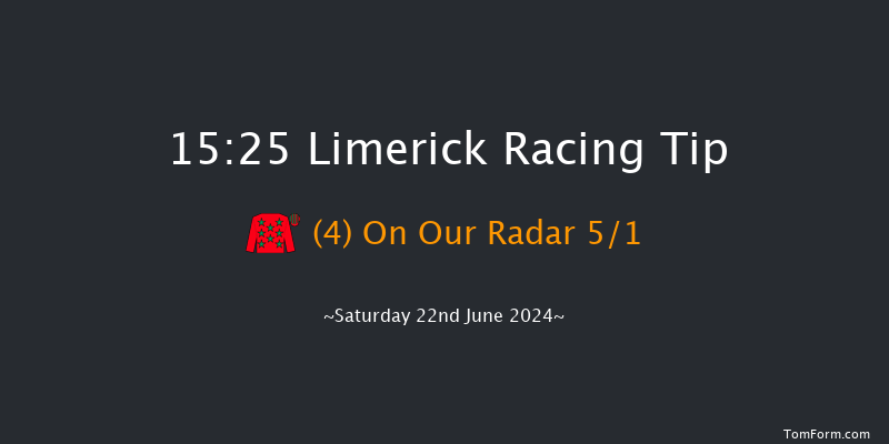 Limerick  15:25 Handicap 8f Wed 12th Jun 2024