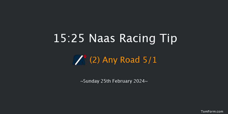 Naas  15:25 Handicap Hurdle 16f Sat 10th Feb 2024