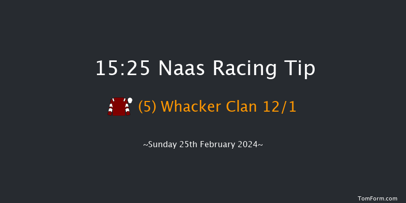 Naas  15:25 Handicap Hurdle 16f Sat 10th Feb 2024