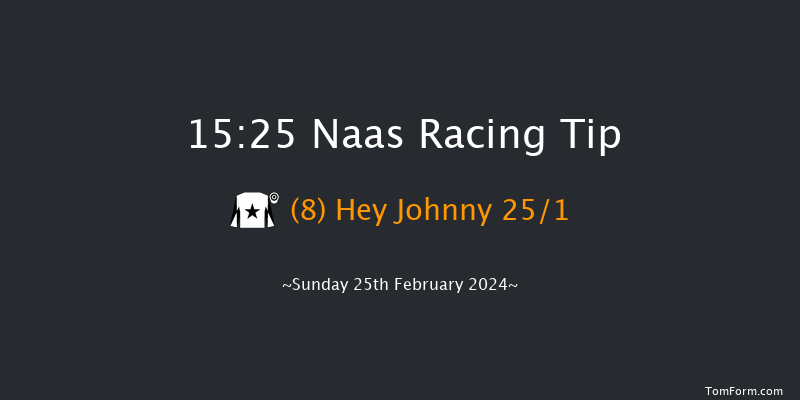 Naas  15:25 Handicap Hurdle 16f Sat 10th Feb 2024