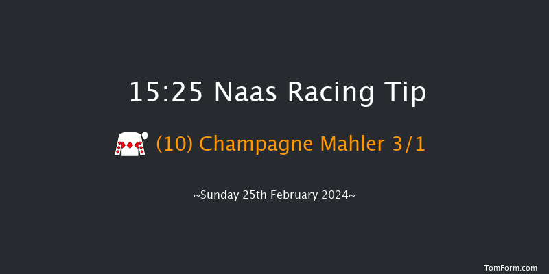 Naas  15:25 Handicap Hurdle 16f Sat 10th Feb 2024