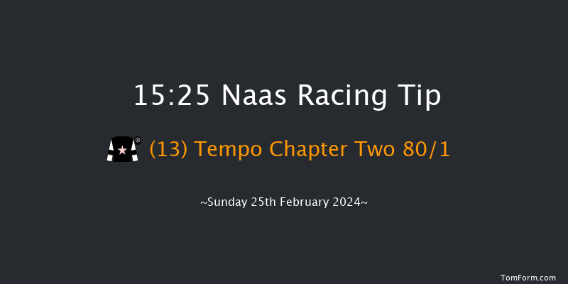 Naas  15:25 Handicap Hurdle 16f Sat 10th Feb 2024