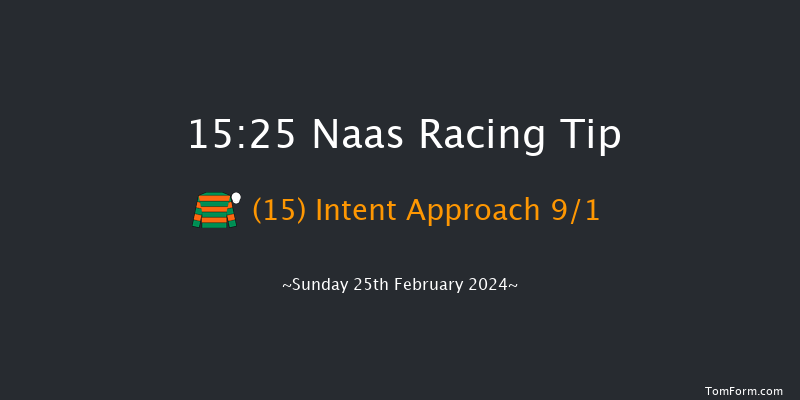 Naas  15:25 Handicap Hurdle 16f Sat 10th Feb 2024