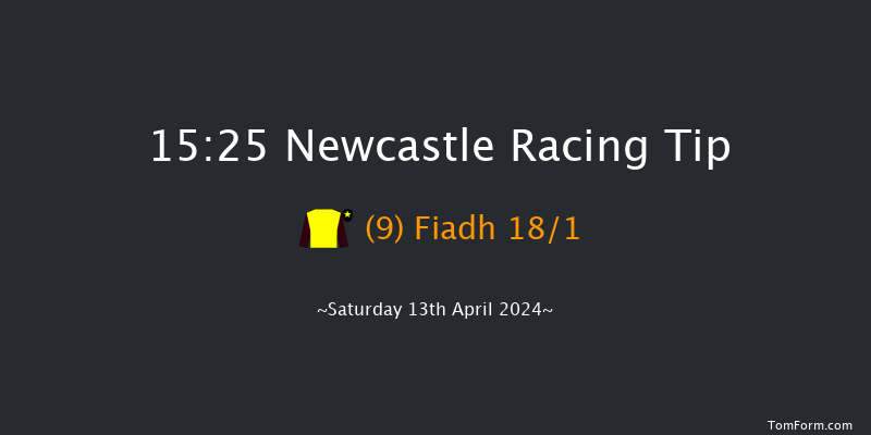 Newcastle  15:25 Handicap Hurdle (Class 5)
20f Mon 8th Apr 2024