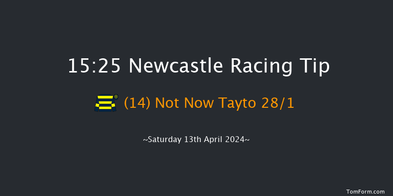 Newcastle  15:25 Handicap Hurdle (Class 5)
20f Mon 8th Apr 2024