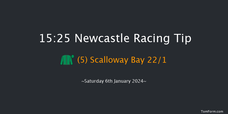 Newcastle 15:25 Handicap Hurdle (Class 5) 20f Thu 4th Jan 2024