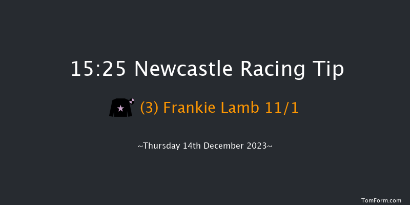 Newcastle 15:25 NH Flat Race (Class 5) 17f Sat 9th Dec 2023