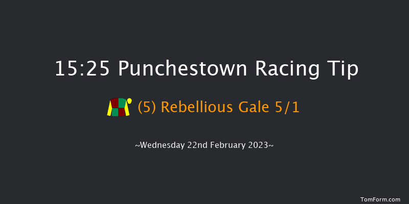 Punchestown 15:25 Handicap Hurdle 24f Sun 19th Feb 2023