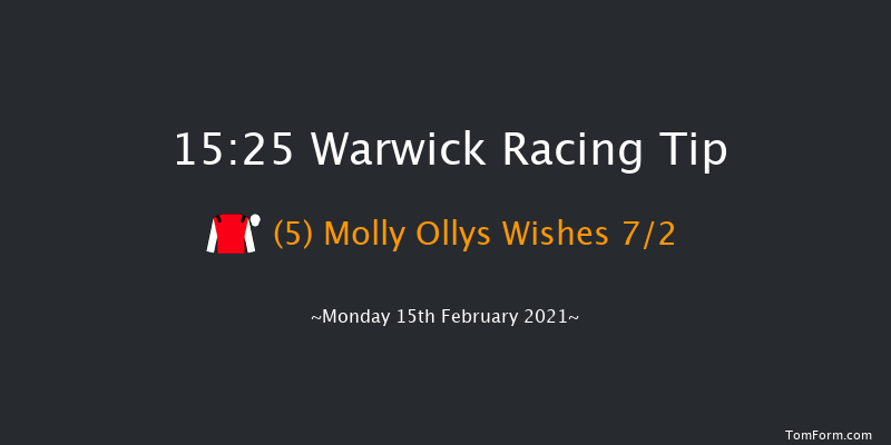 St Marys Land Warwick Mares' Hurdle (Listed) (NHMOPS Bonus/GBB Race) Warwick 15:25 Conditions Hurdle (Class 1) 21f Wed 3rd Feb 2021