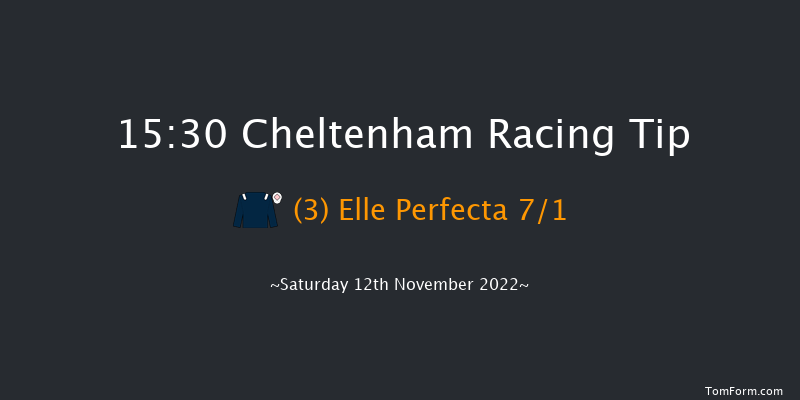 Cheltenham 15:30 Handicap Hurdle (Class 3) 21f Fri 11th Nov 2022