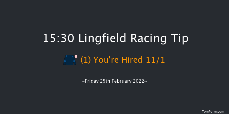 Lingfield 15:30 Handicap (Class 3) 10f Sat 19th Feb 2022