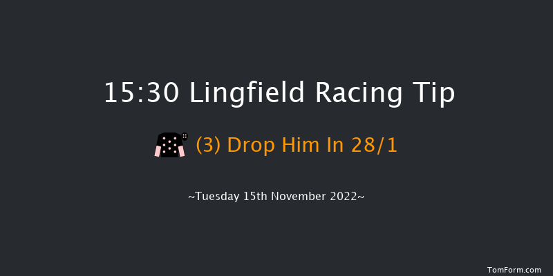 Lingfield 15:30 Handicap Hurdle (Class 4) 23f Sat 12th Nov 2022