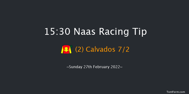 Naas 15:30 Handicap Hurdle 16f Sat 12th Feb 2022