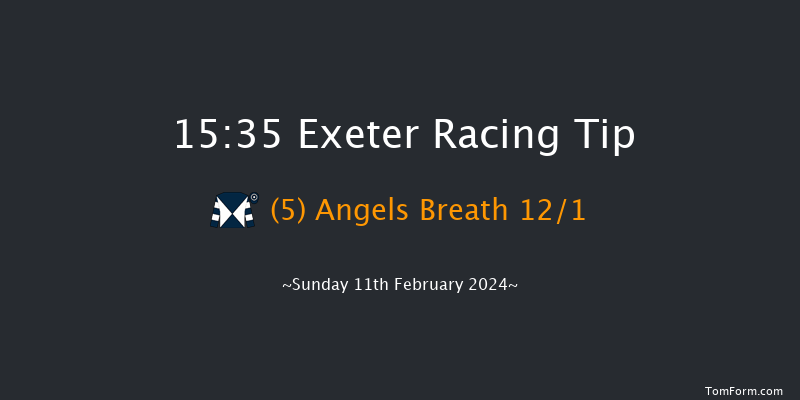 Exeter  15:35 Handicap Hurdle (Class 2) 23f Wed 31st Jan 2024