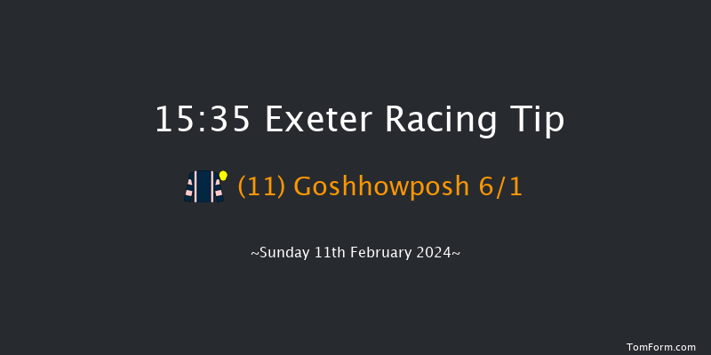 Exeter  15:35 Handicap Hurdle (Class 2) 23f Wed 31st Jan 2024