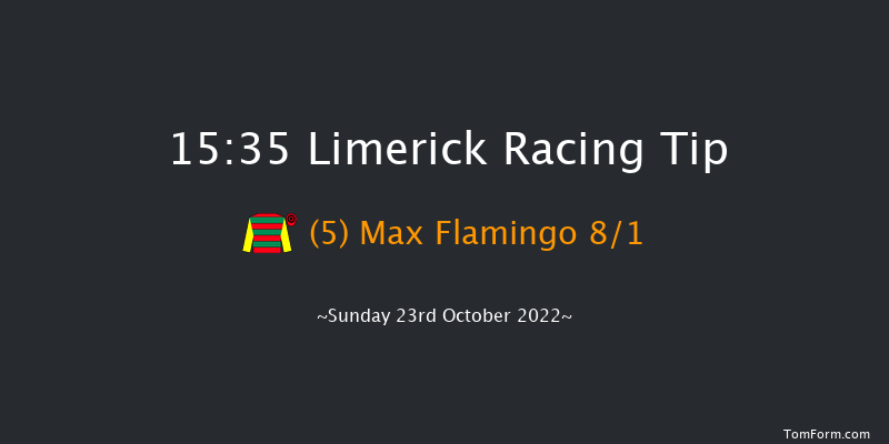 Limerick 15:35 Handicap Chase 24f Thu 21st Jul 2022