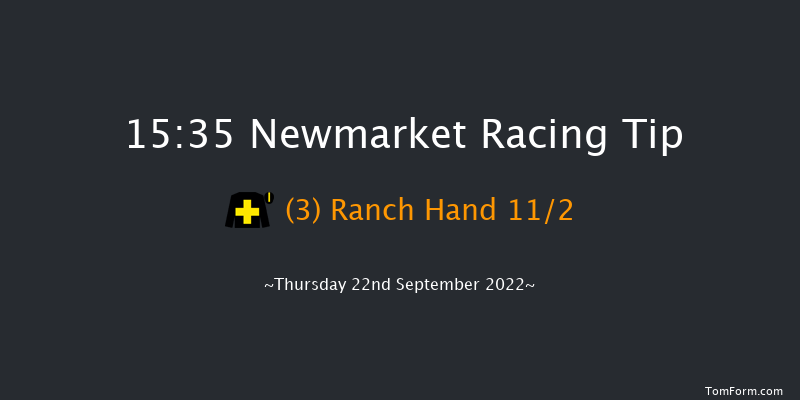 Newmarket 15:35 Listed (Class 1) 16f Sat 17th Sep 2022