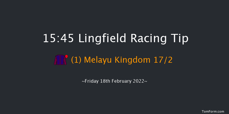 Lingfield 15:45 Handicap (Class 3) 7f Tue 15th Feb 2022