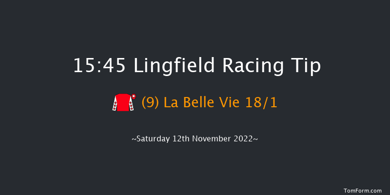 Lingfield 15:45 Handicap (Class 6) 16f Tue 8th Nov 2022