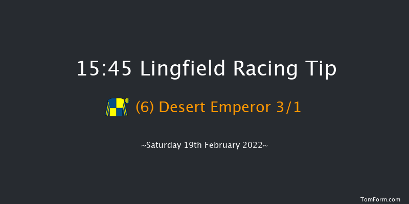 Lingfield 15:45 Handicap (Class 2) 12f Fri 18th Feb 2022