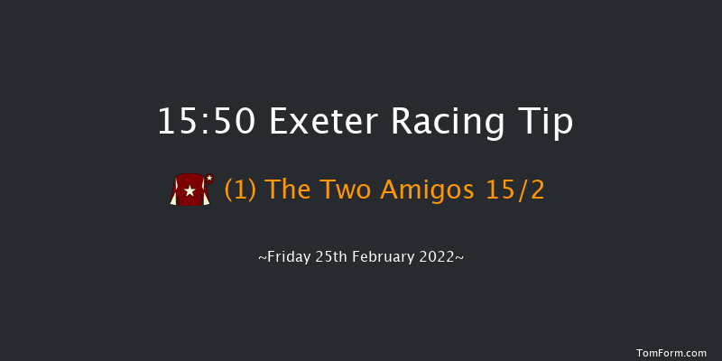 Exeter 15:50 Handicap Chase (Class 3) 31f Sun 13th Feb 2022