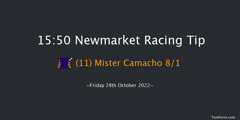 Newmarket 15:50 Handicap (Class 4) 16f Wed 19th Oct 2022