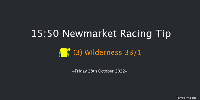 Newmarket 15:50 Handicap (Class 4) 16f Wed 19th Oct 2022