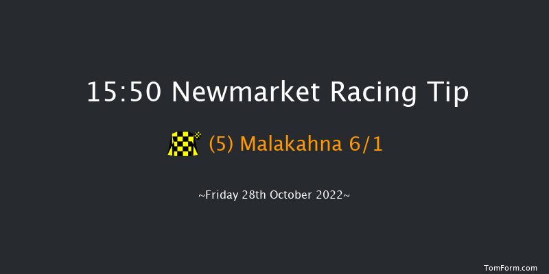 Newmarket 15:50 Handicap (Class 4) 16f Wed 19th Oct 2022