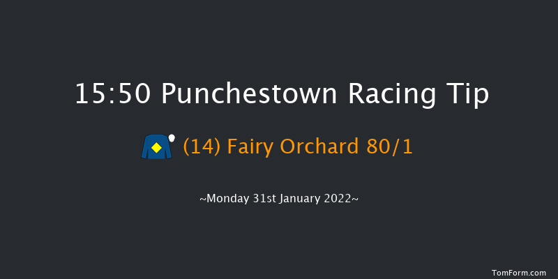 Punchestown 15:50 Handicap Hurdle 24f Mon 17th Jan 2022