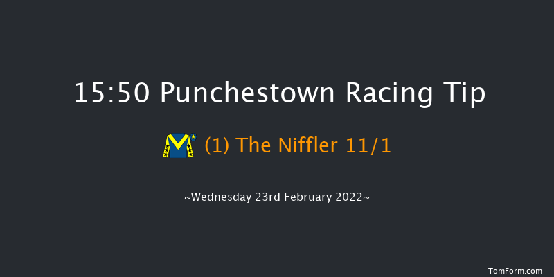 Punchestown 15:50 Handicap Hurdle 20f Sun 13th Feb 2022