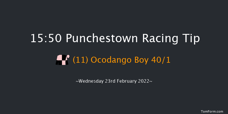 Punchestown 15:50 Handicap Hurdle 20f Sun 13th Feb 2022