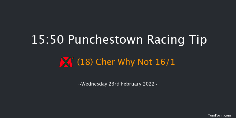 Punchestown 15:50 Handicap Hurdle 20f Sun 13th Feb 2022