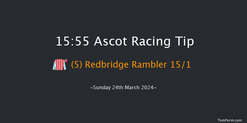 Ascot  15:55 Handicap Hurdle (Class 4) 24f Sat 17th Feb 2024