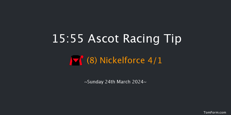 Ascot  15:55 Handicap Hurdle (Class 4) 24f Sat 17th Feb 2024