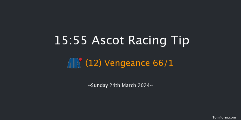 Ascot  15:55 Handicap Hurdle (Class 4) 24f Sat 17th Feb 2024