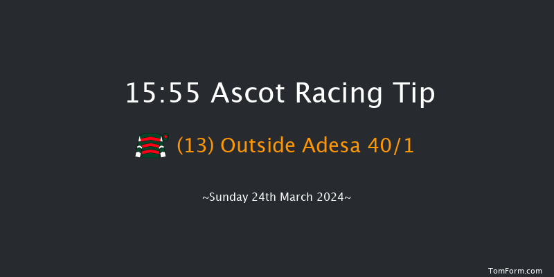 Ascot  15:55 Handicap Hurdle (Class 4) 24f Sat 17th Feb 2024