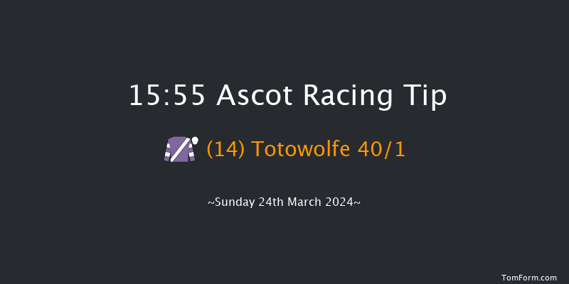 Ascot  15:55 Handicap Hurdle (Class 4) 24f Sat 17th Feb 2024