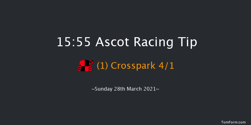 Berkshire Women's Aid Veterans' Handicap Chase Ascot 15:55 Handicap Chase (Class 2) 24f Sat 20th Feb 2021