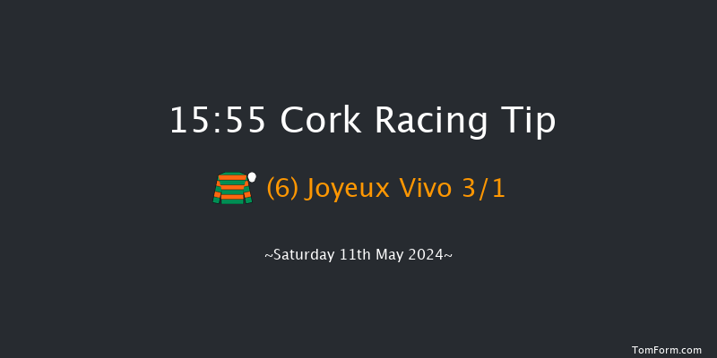 Cork  15:55 Handicap Hurdle 20f Fri 10th May 2024