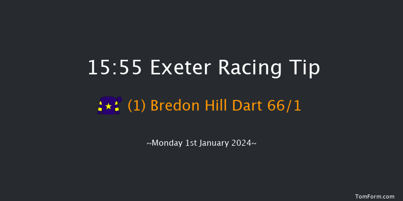 Exeter 15:55 NH Flat Race (Class 5) 17f Thu 21st Dec 2023