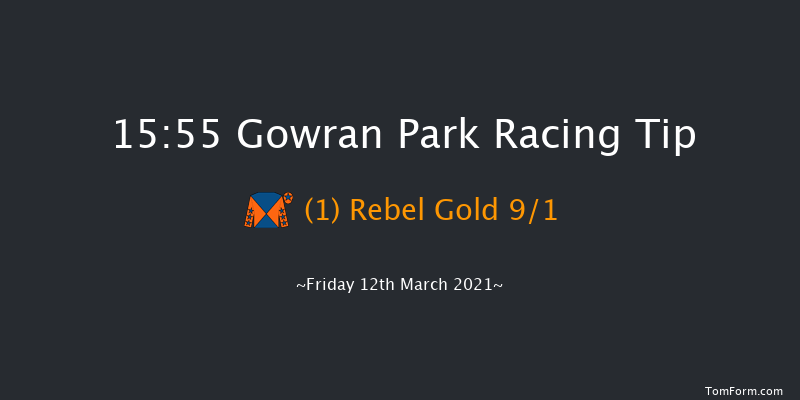 Holden Plant Rentals Shamrock Handicap Chase (Grade B) Gowran Park 15:55 Handicap Chase 18f Tue 2nd Mar 2021