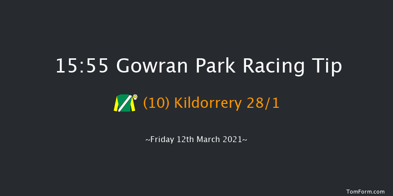 Holden Plant Rentals Shamrock Handicap Chase (Grade B) Gowran Park 15:55 Handicap Chase 18f Tue 2nd Mar 2021