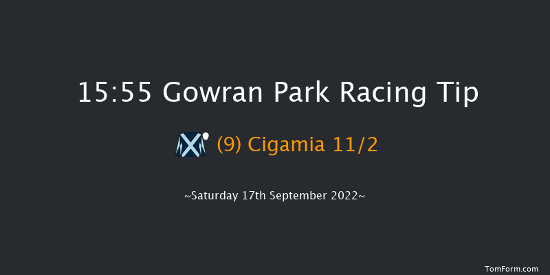 Gowran Park 15:55 Group 3 10f Wed 31st Aug 2022