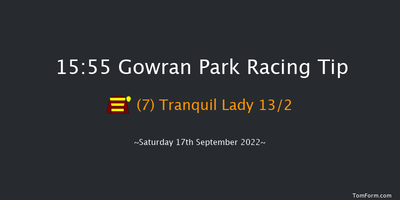 Gowran Park 15:55 Group 3 10f Wed 31st Aug 2022