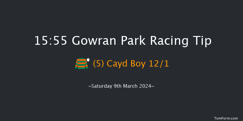 Gowran Park  15:55 Handicap Chase 16f Sat 17th Feb 2024