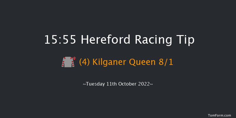 Hereford 15:55 Handicap Hurdle (Class 4) 20f Sun 3rd Apr 2022