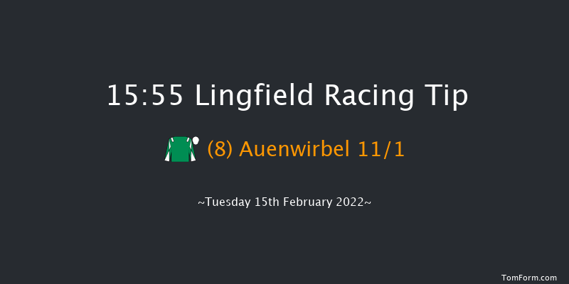 Lingfield 15:55 Handicap Hurdle (Class 5) 23f Sat 12th Feb 2022